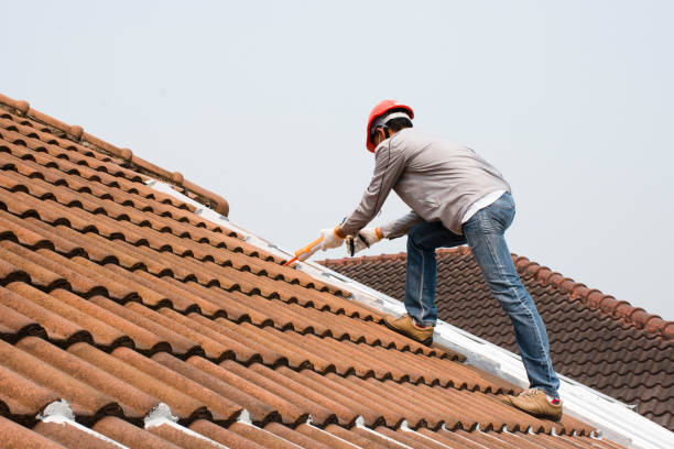 Best Roof Moss and Algae Removal  in Neuse Forest, NC