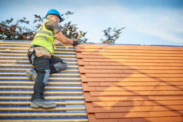Best Gutter Installation and Repair  in Neuse Forest, NC